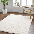Hauteloom Tilos Moroccan Farmhouse Small Shag Area Rug Door Mat - Shaggy Carpet - Trellis Pattern - High Plush Pile - Cream, Pink, Beige - 2' x 3'