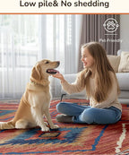 Area Rug 9x12 Rug Machine Washable Non-Slip Low Pile Print Pattern Western Rug for Living Room Bedroom Entryway Tribal Series -Red/Orange