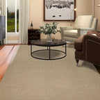 5x7 Area Rugs - Rug for Living Room, Washable Area Rugs 5x7 for Bedroom, Non-Slip Carpet for Dorm Room (Brown)