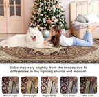 2x3 Mousse Brown Small Area Rug for Entryway, Soft Washable Rugs with Non-Slip Backing for Bedroom Kitchen, Vintage Throw Carpet Laundry Entry Front Door Decor