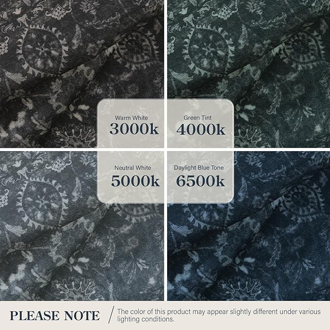 Lahome Black 5x7 Carpet for Bedroom,Boho Washable Area Rugs for Office,Vintage Dark Academia Stylish Living Room Rug,Spill Proof Low Pile Carpets for Dining Room Dorm