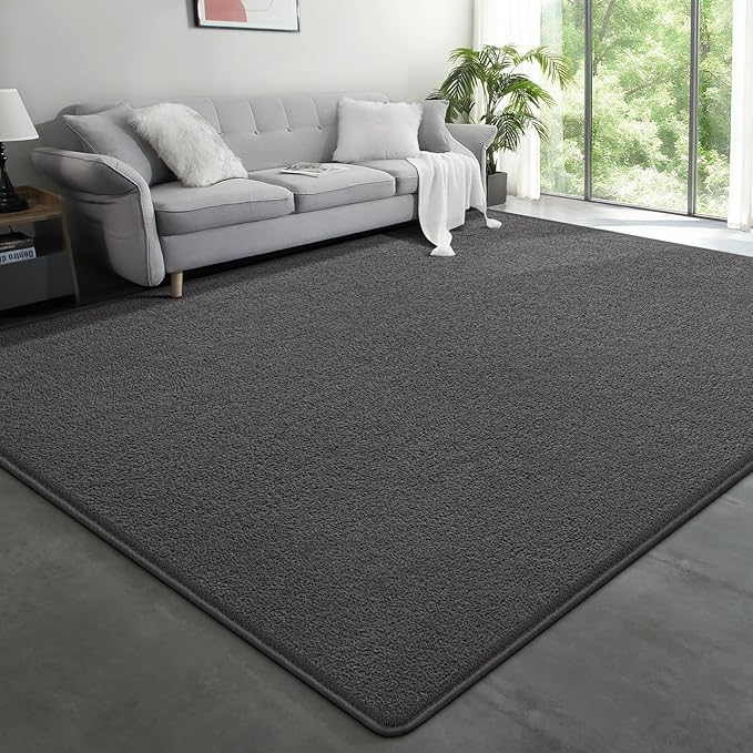 Large Modern Area Rugs for Living Room Bedroom, 5x8 Feet Dark Grey Ultra Soft Solid Thickened Memory Foam Indoor Minimalist Carpets, Non-Slip Comfy Rugs for Boys Girls Nursery Kids Room Home Décor