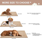BEQHAUSE Dog Door Mat for Muddy Paws 20"x32" Dirt Trapper Absorbent Doormat Non Slip Entryway Rugs Washable Stain Resistant Welcome Floor Mat Soft Low-Profile for Front Back Door, Beige