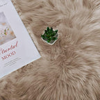 Latepis 5x8 Area Alfombras para Salas Washable Light Brown Beige Faux Fur Fluffy Shag Fuzzy Rug for Living Room Bedroom Floor Playroom Rugs Carpet Home Decor Rectangle