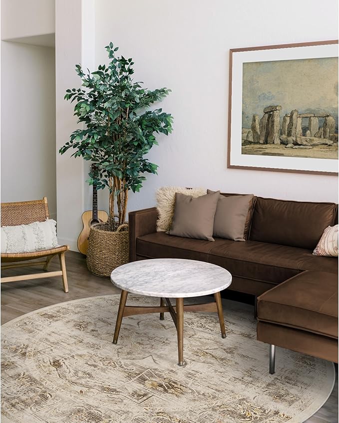 RUGGABLE Washable Vintage Area Rug – Sarrah Hazel 6 ft Round, Stain-Resistant, Non-Slip – Medium Machine Washable Rugs for Living Room, Bedroom, Hallway, Entryway & Office–with Standard Pad