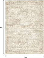 4x6 Area Rugs for Living Room, Vintage Washable Rugs for Dining Room, Bedroom, Home Office Decor, Non-Slip Beige Carpet Thin Rug