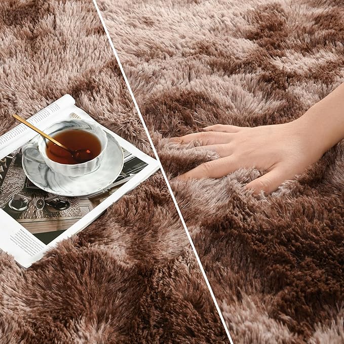 Shag Area Rug, 4 X 6 Tie-Dyed Plush Fuzzy Rugs for Living Room, Ultra Soft Fluffy Furry Rug for Bedroom, Indoor Carpet Nursery Rugs for Kids Room Home Decor, Coffee