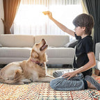 4x6 Rug for Living Room, Soft Non Slip Indoor Front Door Mat, Low-Pile Machine Washable Area Rug Floor Carpet for Bedroom Classroom Office Dining Room