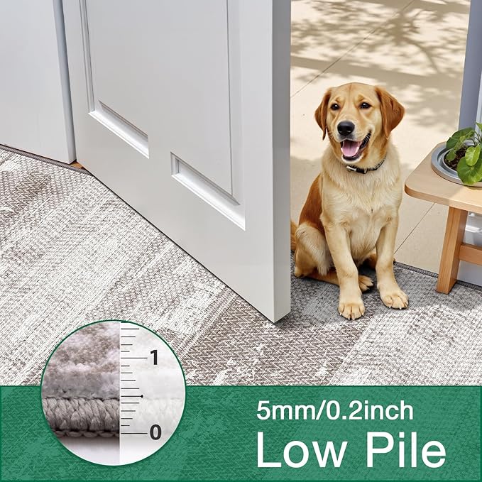 LUMI Washable Area Rug 8x10 for Living Room, Ultra Soft Stain Resistant Carpet with Non Slip Rubber Backing, Non-Shedding Low Pile Rugs for Bedroom, Dining Room, Indoor, Office