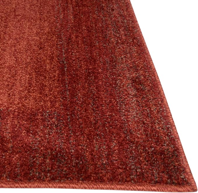 Rugs.com Angelica Collection Rug – 10' x 13' Terracotta Medium Rug Perfect for Living Rooms, Large Dining Rooms, Open Floorplans