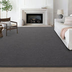 Modern Large Area Rug for Bedroom Living Room, 4x6 Feet Dark Grey Thickened Memory Foam Washable Rugs, Non-Slip Soft Minimalist Solid Indoor Carpets for Boys Girls Nursery Room Décor