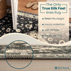 Istana 3x5 Area Rug - Black Modern Rugs for Living Room 3x5 - Foldable Rugs for Bedroom/Living Room Rug - Stain Resistant Washable Rug - Eco-Friendly Small Area Rugs