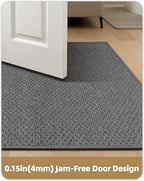 Color&Geometry Ultra Thin Indoor Door Mat Non Slip Rubber Backed Dirt Trapper 48"x72"(Rolled-up NO Creases), Rugs for Entryway, Front Door Mat Indoor Washable Low-Profile Entry Mat, Grey