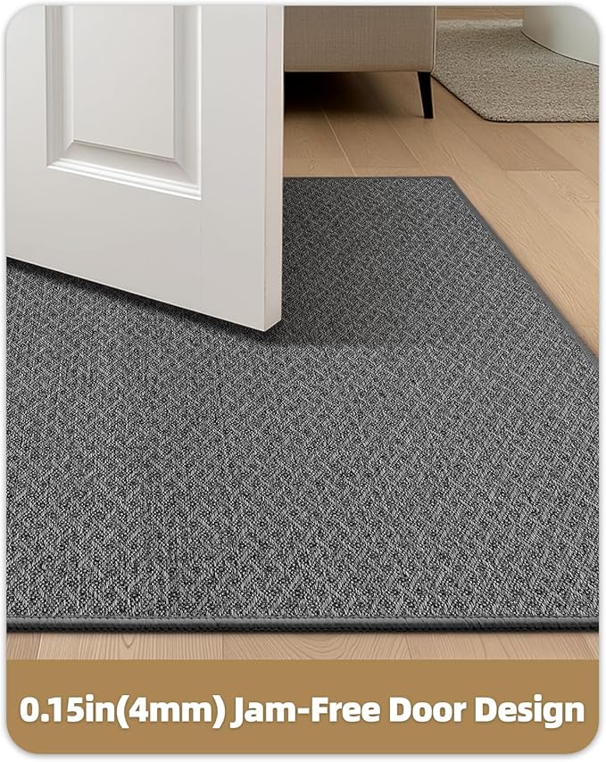 Color&Geometry Ultra Thin Indoor Door Mat Non Slip Rubber Backed Dirt Trapper 32"x48"(Rolled-up NO Creases), Rugs for Entryway, Front Door Mat Indoor Washable Low-Profile Entry Mat, Grey