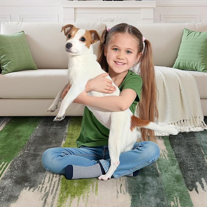 Ciicool Abstract Area Rug Indoor, 3x5 Washable Entryway Rug, Modern Soft Throw Entry Rug with Non-Slip Backing for Bedroom Living Room Entrance Kitchen, Low-Pile Floor Carpet Doormat Green