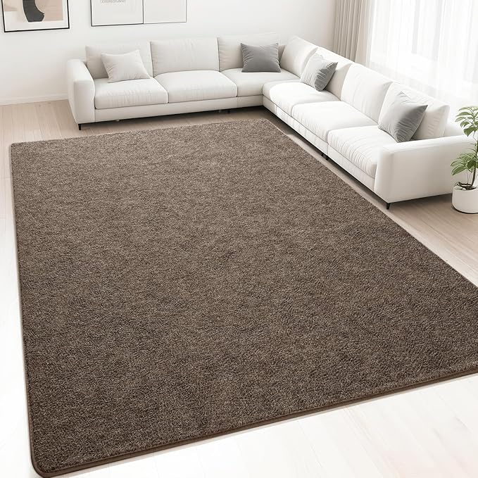 HQAYW 4x6 Area Rugs for Living Room Bedroom, Modern Thickened Memory Foam Soft Rug, Indoor Low Pile Minimalist Washable Non Slip Carpets for Kids Girls Boys Nursery Dorm Home Decor, Brown
