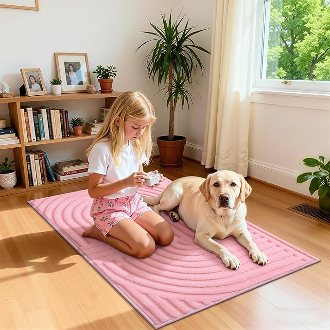 Pauwer 2x3 Washable Area Rugs for Living Room Modern Pink Solid Color Soft Fluffy Rugs for Bedroom Non Slip Boho Accent Indoor Mat Floor Carpet Cover for Kids Room Dining Room Kitchen Office, Pink