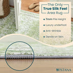 Istana 3x5 Area Rug - Light Green Modern Rugs for Living Room 3x5 - Foldable Rugs for Bedroom/Living Room Rug - Stain Resistant Washable Rug - Eco-Friendly Small Area Rugs
