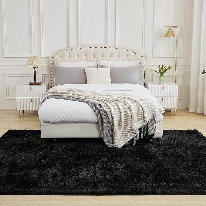 Andency Black Soft Area Rugs for Living Room Bedroom, 3x5 Non-Slip Fluffy Shag Carpet, Indoor Floor Fuzzy Shaggy Living Room Plush Rug for Kids Dorm Nursery Home Decor Aesthetic