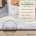 Istana 3x5 Area Rug - Light Grey Modern Rugs for Living Room 3x5 - Foldable Rugs for Bedroom/Living Room Rug - Stain Resistant Washable Rug - Eco-Friendly Small Area Rugs