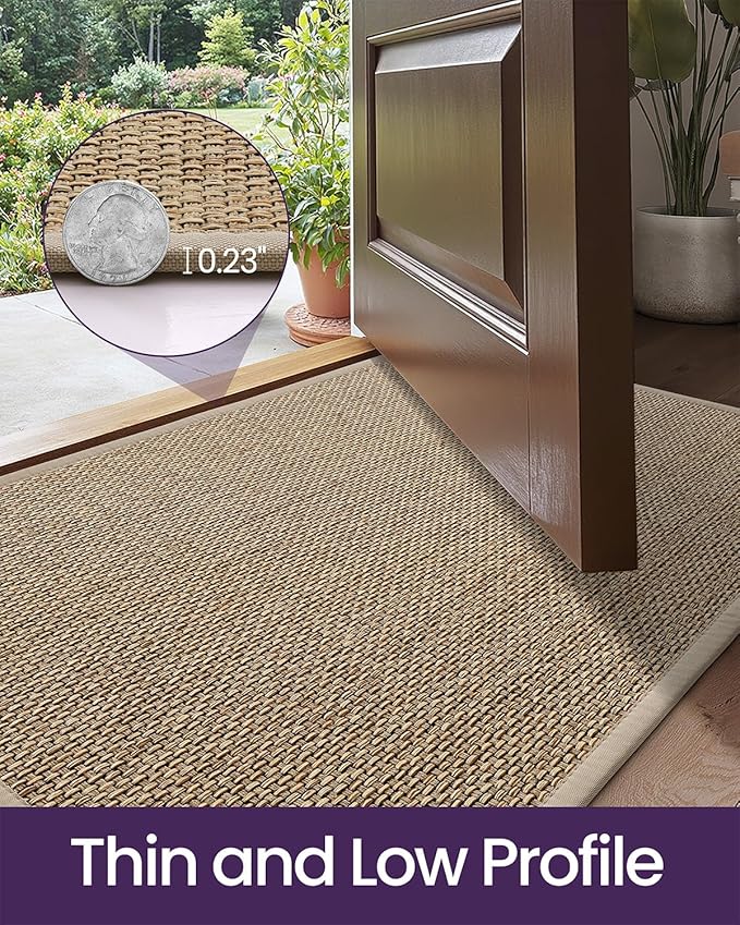 DEXI Ultra Thin Entryway Door Mat 17x30, Non Slip Rubber Backing Inside Entry Mat, Low Profile Easy Clean Dirt Trapper Doormat for Inside Entrance Patio, Beige