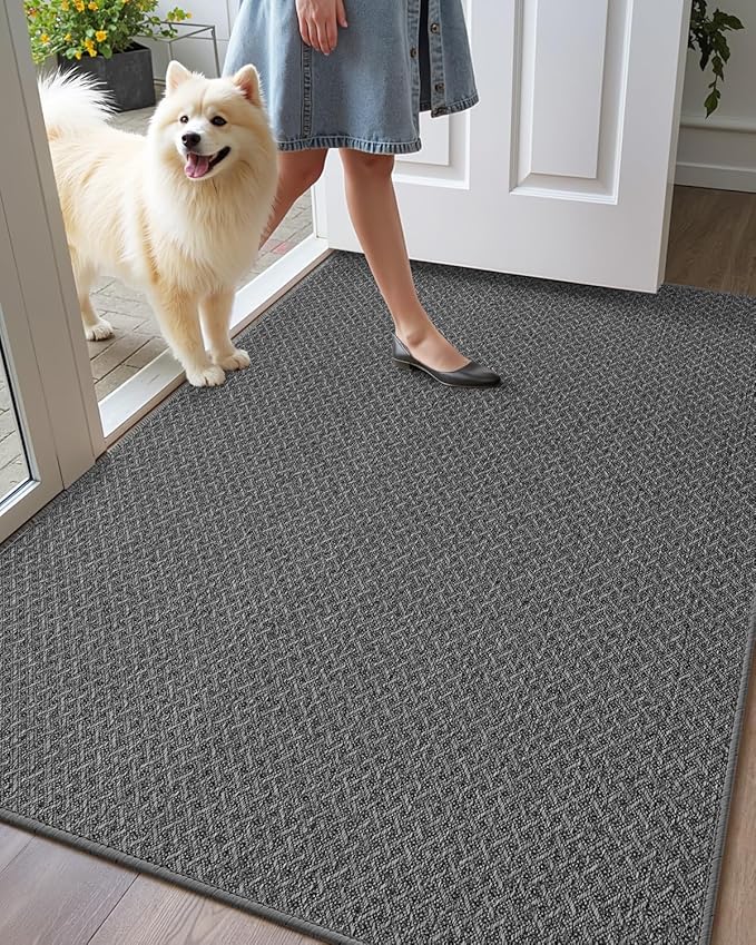 Color&Geometry Ultra Thin Indoor Door Mat Non Slip Rubber Backed Dirt Trapper 32"x48"(Rolled-up NO Creases), Rugs for Entryway, Front Door Mat Indoor Washable Low-Profile Entry Mat, Grey