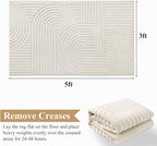 Pauwer 3x5 Washable Area Rugs for Living Room Modern Beige Solid Color Soft Fluffy Rugs for Bedroom Non Slip Boho Accent Indoor Mat Floor Carpet Cover for Kids Room Dining Room Kitchen Office, Beige