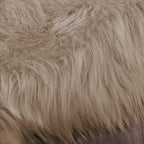 Latepis Washable 3x4 Light Brown Sheepskin Fluffy Shag Plush Faux Fur Rug for Living Room Bedroom Dorm Room Throw Rectangle