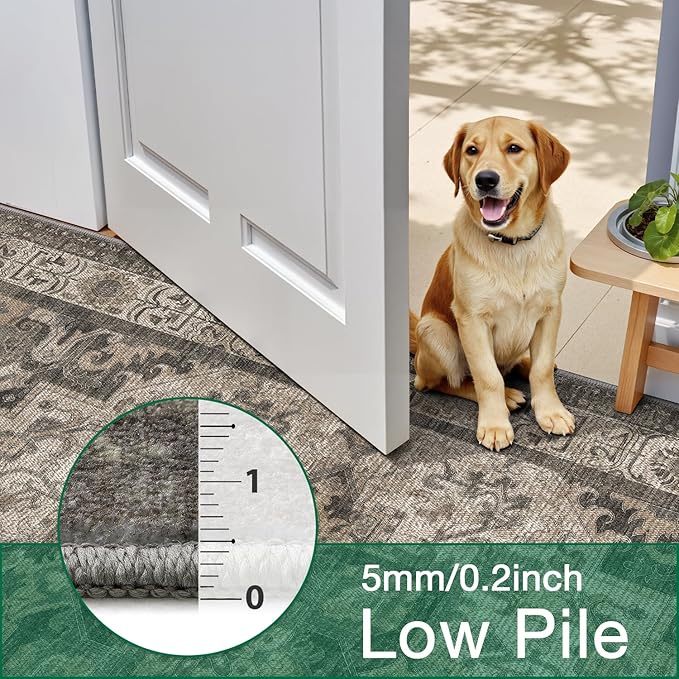LUMI Washable Area Rug 8x12 for Living Room, Ultra Soft Stain Resistant Carpet with Non Slip Rubber Backing, Non-Shedding Low Pile Rugs for Bedroom, Dining Room, Indoor, Office
