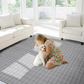CAMILSON Modern Gray Non Slip Rug 4x6 Ultra Soft High Pile Area Rugs Non Skid Rubber Backing Durable & Easy to Clean Carpet for Living Room Bedroom Kids Room Indoor Use (4 x 6 Gray)