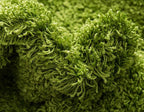 Unique Loom Solid Shag Collection Area Rug (5' 1" x 8' Rectangle, Grass Green)