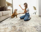 5x7 Area Rug Living Room Rugs - Washable Neutral Modern Abstract Soft Thin Large Rug Indoor Floor No Slip Rug Carpet for Bedroom Under Dining Table Home Office Decor - Golden Grey