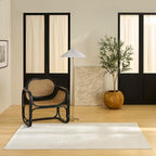 Nourison Home Nordic Ivory 4' x 6' Area Rug - Easy Clean, Non Shedding, Bed Room, Living Room, Dining Room, Kitchen (4' x 6')