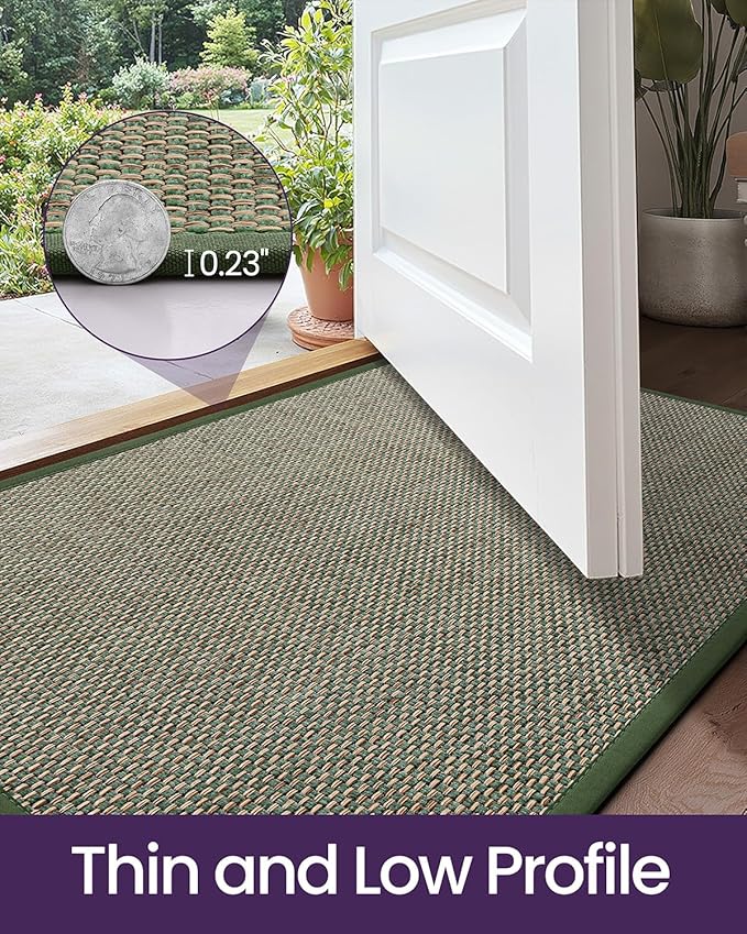 DEXI Ultra Thin Entryway Indoor Door Mat 17x30, Non Slip Rubber Backing Inside Entry Mat, Low Profile Easy Clean Dirt Trapper Doormat for Inside Entrance Patio, Green