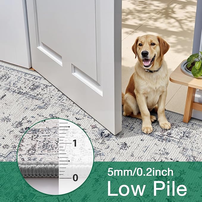 LUMI 8x12 Washable Area Rug for Living Room, Ultra Soft Traditional Rugs Non Slip with Rubber Backing, Low Profile, High Traffic, Stain Resistant Carpets, Ideal for Bedroom, Dining Room, Indoor