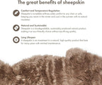 Sheepskin Long Hair 2x3 ft | Bedside Rugs for bedrooms, Sofa, Chair or The Dining Table | Each Sheepskin Rug is Unique and Created by Nature | Small Fluffy Rug in Color Light Brown