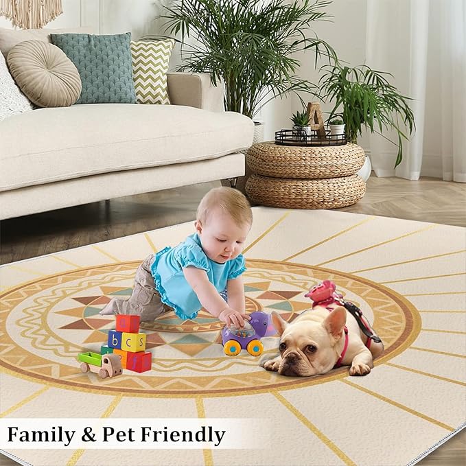 Boho Sun Area Rugs 6x9ft, Minimalist Line Fluffie Rugs for Living Room, Geometric Solar Nursery Rug with Under Rug Non Slip Tape for Bedroom Kids Room
