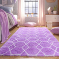 ONASAR Area Rugs for Bedroom Living Room, Washable 4x6 Fluffy Purple and White Throw Rug, Boho Geometric Soft Shaggy Fuzzy Plush Indoor Floor Carpet for Kids Teen Nursery Dorm Home Decor Aesthetic