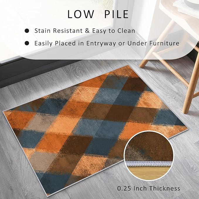 Checkered Geometric Rug, Washable 5x7 Rug for Living Room, Modern Abstract Patterned Indoor Carpet, Checkered Geometric Decor for Home, Bedroom, Soft Non Slip Thin Design FER48