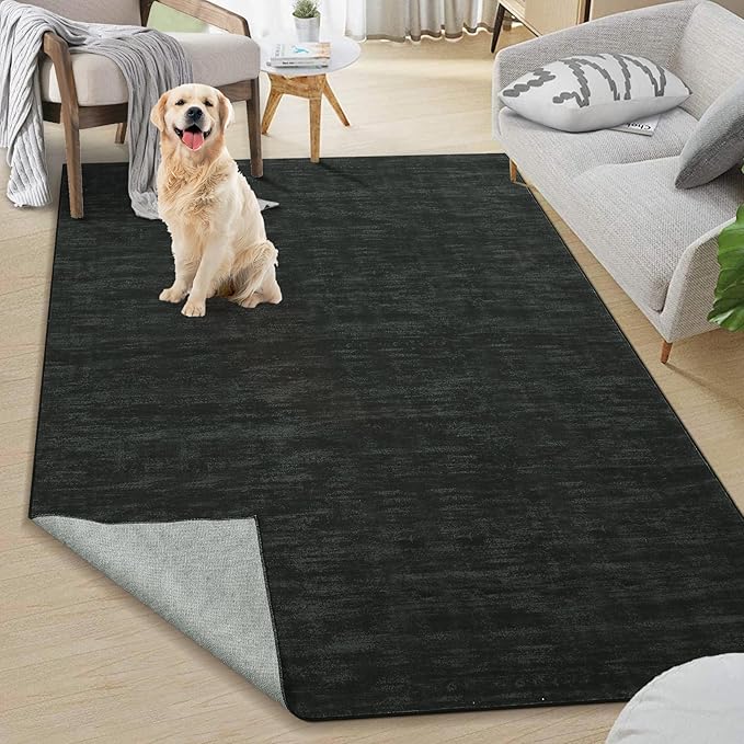 RUGSREAL Modern Area Rug 4x6 Rug for Bedroom Indoor Non-Slip Solid Color Area Rugs Non Slip Washable Contemporary Area Rug Throw Floor Carpet for Bedroom Living Room Kitchen, 4' x 6' Black