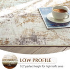 FMFUNCTEX 5x7 Washable Area Rug Abstract Modern Neutral Brown Grey Non Slip Soft Low Pile Thin Accent Indoor Carpet for Living Room Bedroom Dining Office Nursery Bedside Entryway Entrance, Grey Gold