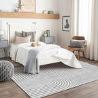 Washable Area Rug 5x7 - Boho Living Room Rug Soft Bedroom Rug Ultra-Thin Grey Modern Abstract Rainbow Dining Room Rugs Indoor Carpet for Living Room Nursery Room