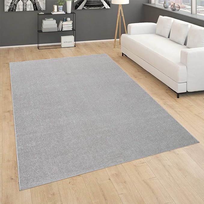 Paco Home Solid Area Rug in Silver Modern Plain Design, Size: 2'8" x 4'11"