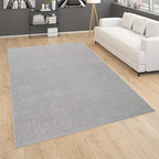 Paco Home Solid Area Rug in Silver Modern Plain Design, Size: 2'8" x 4'11"