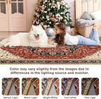5x7 Orange Red Area Rug for Living Room, Machine Washable Rugs with Non-Slip Backing for Bedroom, Vintage Medallion Carpet Dining Room Office Kids Room Decor