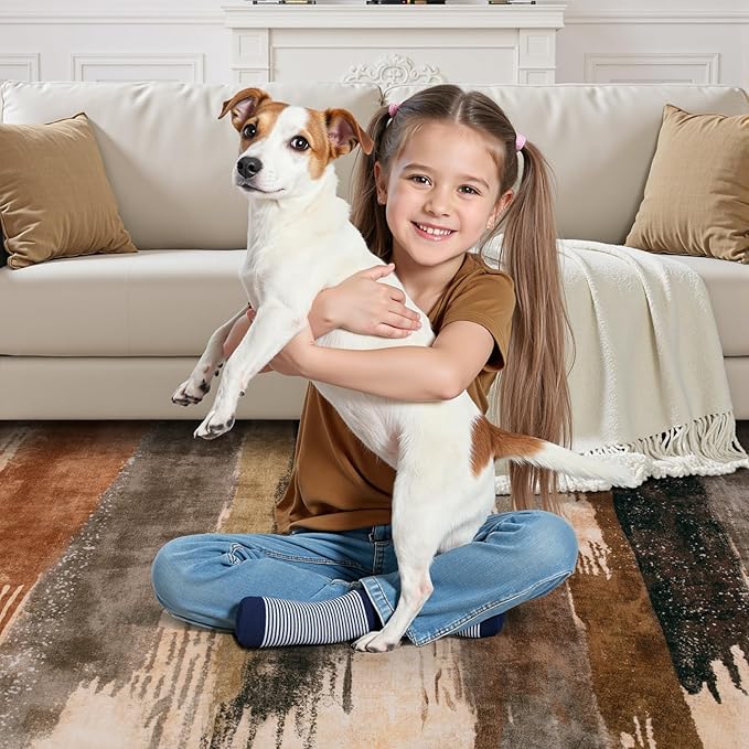 Ciicool Abstract Area Rug Indoor, 4x6 Washable Entryway Rug, Modern Soft Throw Entry Rug with Non-Slip Backing for Bedroom Living Room Entrance Kitchen, Low-Pile Floor Carpet Doormat Brown Black