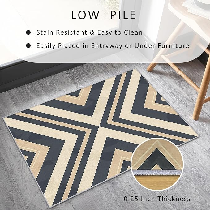 Modern Geometric Rug, Washable 4x5 Rug for Living Room, Herringbone Chevron Patterned Indoor Carpet, Modern Geometric Decor for Home, Bedroom, Soft Non Slip Thin Design FER75
