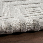 Nourison Home Versatile Silver Grey 7' x 10' Area Rug - Easy Clean, Non Shedding, Bed Room, Living Room, Dining Room, Kitchen (7' x 10')