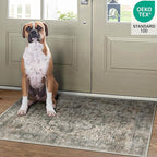 2x3 Machine Washable Area Rug for Entryway, Grey Rusty Boho Vintage Floral Rug Non-Slip Low Pile Soft Faux Wool Small Carpet, Kids and Pets Friendly for Bedroom Kitchen Hallway Bedside Home Decor Rug