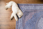 GLN Rugs Traditional Collection - Machine Washable Area Rug, Traditional Washable, Non Slip, Low Pile Chenille Rug, Living Room, Bedroom, Kitchen Rug (2' x 3' Navy/Off White)